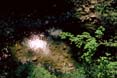 shiney_water